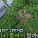 철이 게스트