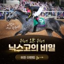 빅토닉스