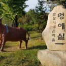 소똥령이야기 이미지