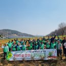 (주)나무새