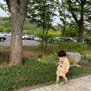 도움터어린이집 | 서울 여행 동물원 아이랑 가볼만한곳 서울대공원 유모차 입장료 주차 정보