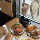 온누리목장 | 대전 성심당 롯데백화점 강추 애플브리치즈 고기한쌈 아몬드크로와상 고로케 비추 애플파이 맛후기