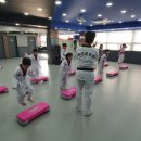 에스 태권도장 이미지