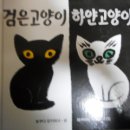 이서원/검은고양이 하얀고양이~고양이를 찾아보자~ 이미지