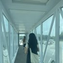 만복수퍼민박 | 제주 2박3일 여행 (산방댁, 번네식당, 아침미소목장, 소색채본, 우정회센터, 중문서핑, 소길별하, 생원...