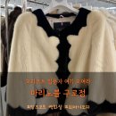 이앤씨벤처드림타워2차 | 밍크코트 모피코트 입문자들 여기 모여라 ㅣ 마리노블 구로점