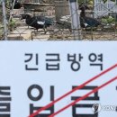 종수농장 이미지