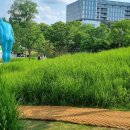 이현공원 이미지