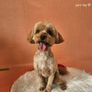 에바 가위컷 전문점 이미지