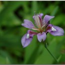 대청농원 이미지