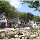 삼척들레펜션