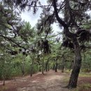 송정해변에서 주문진해변까지 이미지