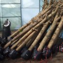 영신농원 이미지