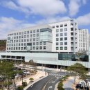 김용찬농장 쿠키뉴스
