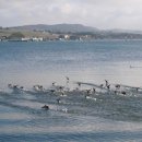 은빛파도 이미지