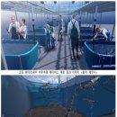 (주)펀웨이브