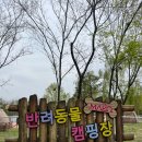 한강공원 난지캠핑장 | [서울/마포]애견동반 난지 한강공원 반려동물 캠핑장 후기및꿀팁