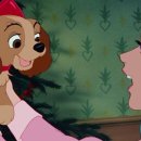 퍼스트 독 앤 캣 이미지