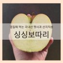 아이보따리 | 싱싱보따리 껍질째 먹는 국내산 햇사과 산지직송 솔직 후기! (경북 의성 1kg)