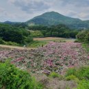 섬진강댐물문화관 화장실 이미지