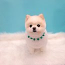 나무쉼터 동물병원 이미지