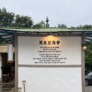 춘천로컬맛집 들기름막국수 탑티어 존박 추천 만천리상회 춘천 맛도 명품 인테리어도 명품 막국수...