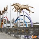 인성목장 이미지