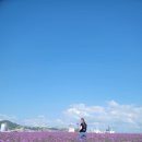 부곡동 돌담해안숲공원 이미지