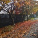 의암호자전거길 2 이미지