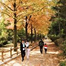 2019년 가을 , 짧았던 진주 여행 이미지