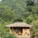 산골초가펜션 네이버블로그