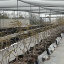 도덕농장 이미지