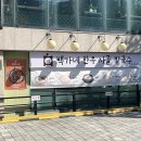 청계산로 241-1 이미지