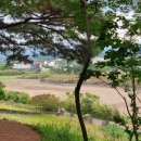 수산리-16 이미지