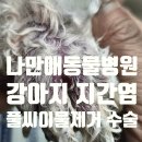 나만 애 동물병원 이미지