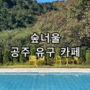 너울숲 | 충남 공주 유구읍 대형 숲뷰 카페 숲너울 후기 수영장 포토존 추천