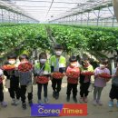 동강초등학교 이미지