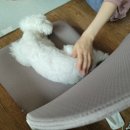 캐릭터그루밍 이미지