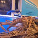 대게 맛나게 김포점 이미지