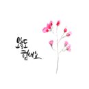 한양행정사사무소 이미지