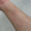 에스티엠(STM) | 데콜테마사지하기 딱 좋은 STM아미노 스포츠크림