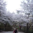 치산캠핑장 이미지