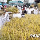 용전마을 입구 이미지