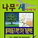 나무와새 이미지