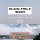 보라농장2 이미지