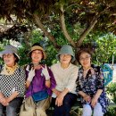 갤러리수락 이미지