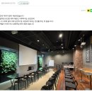 우진채널 | 참교육 우진 엄마도 선택한 실내 공기정화 식물, 나아바가 주목받는 이유를 알아보자