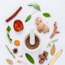 율하로4로 이미지