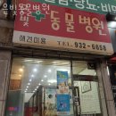 은빛동물병원 이미지