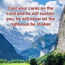 시온의 대로 이미지